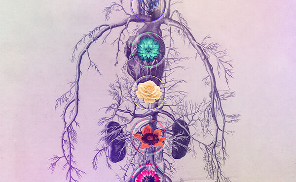 A floral illustration of chakras aligned along a human body, symbolising energy flow and spiritual balance.